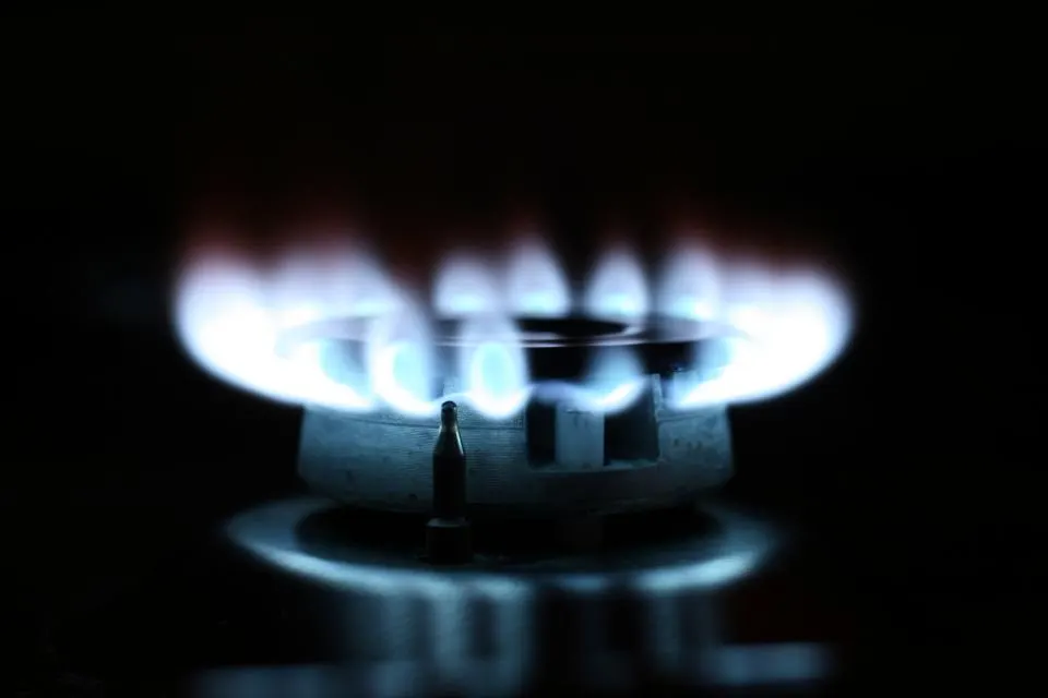 Arzător de aragaz cu flacără albastră de propan